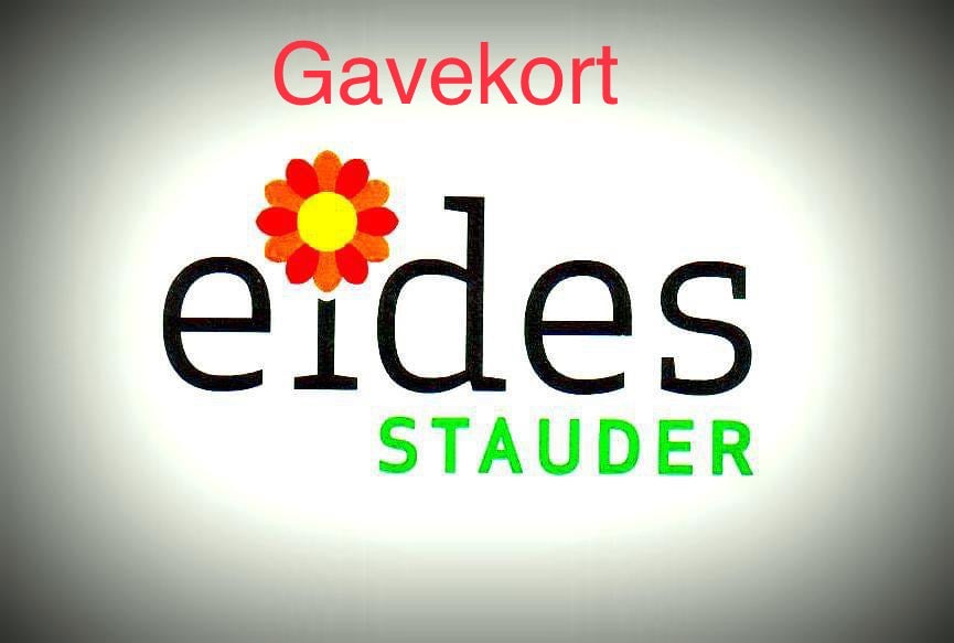 Gavekort